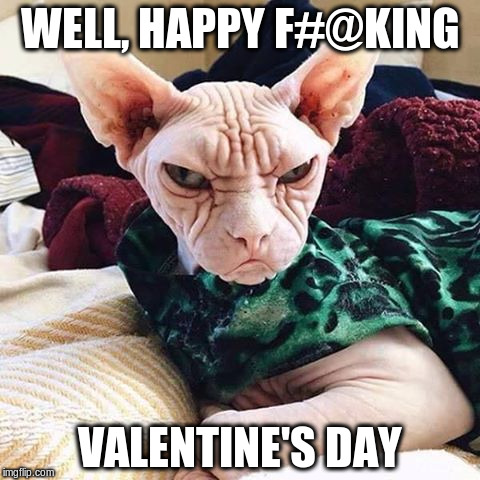 Happy Valentine's Day | WELL, HAPPY F#@KING; VALENTINE'S DAY | image tagged in grumpy cat who,memes | made w/ Imgflip meme maker