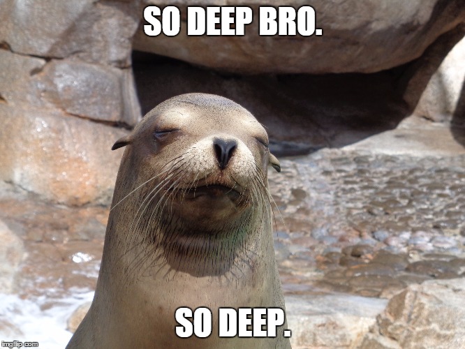 The stoner seal |  SO DEEP BRO. SO DEEP. | image tagged in emotions,deep thoughts,bro,seal,stoner seal | made w/ Imgflip meme maker