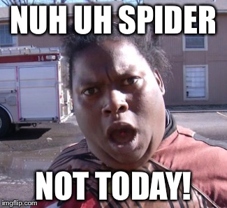 Not today | NUH UH SPIDER; NOT TODAY! | image tagged in not today | made w/ Imgflip meme maker