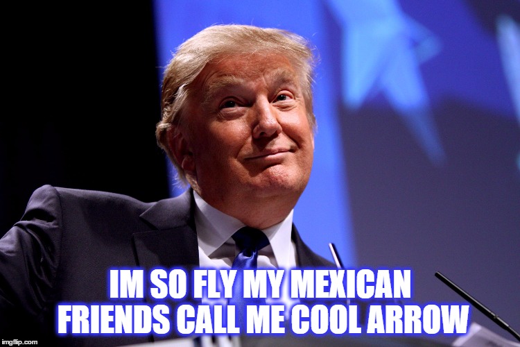 Trump... One Cool Arrow | IM SO FLY MY MEXICAN FRIENDS CALL ME COOL ARROW | image tagged in donald trump no2,happy mexican,mexico,cool | made w/ Imgflip meme maker