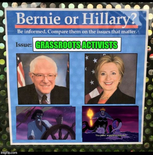Bernie or Hillary? | GRASSROOTS ACTIVISTS | image tagged in bernie or hillary,disneygonedank,feelthebern,bsdms,firedebbie | made w/ Imgflip meme maker