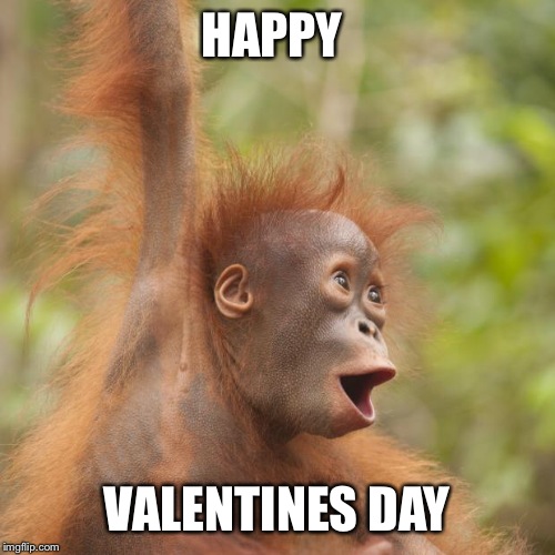Happy Orangutan | HAPPY; VALENTINES DAY | image tagged in happy orangutan | made w/ Imgflip meme maker