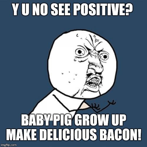 Y U NO SEE POSITIVE? BABY PIG GROW UP MAKE DELICIOUS BACON! | image tagged in memes,y u no | made w/ Imgflip meme maker
