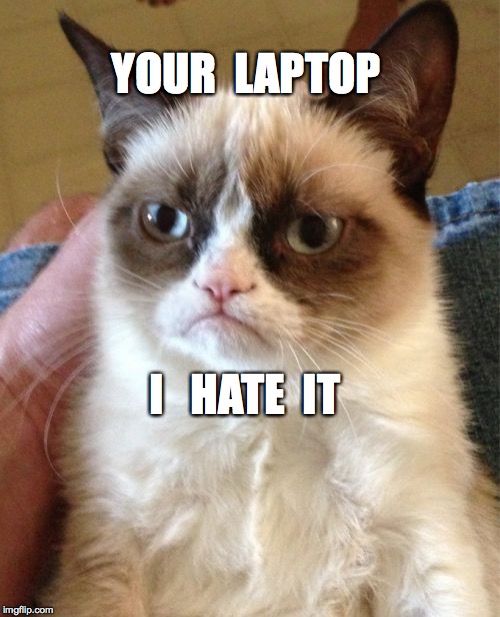 Grumpy Cat Meme | YOUR  LAPTOP; I   HATE  IT | image tagged in memes,grumpy cat | made w/ Imgflip meme maker