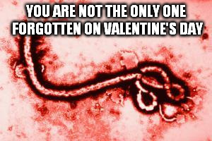 Goodluck, Ebola | YOU ARE NOT THE ONLY ONE FORGOTTEN ON VALENTINE'S DAY | image tagged in goodluck ebola | made w/ Imgflip meme maker
