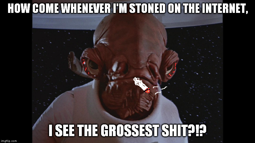 Ackbar is not impressed | HOW COME WHENEVER I'M STONED ON THE INTERNET, I SEE THE GROSSEST SHIT?!? | image tagged in ackbar is not impressed | made w/ Imgflip meme maker