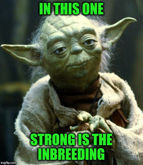 Star Wars Yoda | IN THIS ONE; STRONG IS THE INBREEDING | image tagged in memes,star wars yoda | made w/ Imgflip meme maker