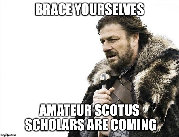 Brace Yourselves X is Coming | BRACE YOURSELVES; AMATEUR SCOTUS SCHOLARS ARE COMING | image tagged in memes,brace yourselves x is coming | made w/ Imgflip meme maker
