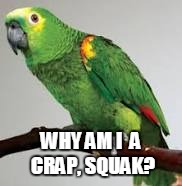 WHY AM I  A CRAP, SQUAK? | made w/ Imgflip meme maker