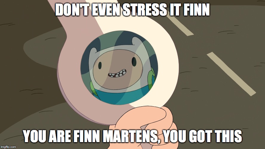 Finn Sword | DON'T EVEN STRESS IT FINN; YOU ARE FINN MARTENS, YOU GOT THIS | image tagged in memes | made w/ Imgflip meme maker