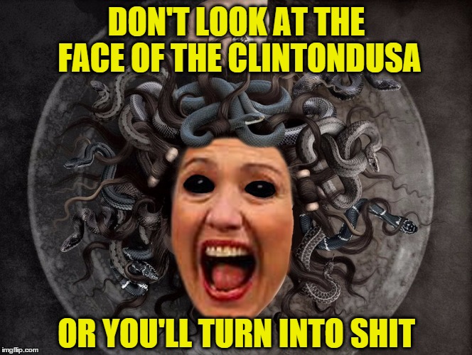 DON'T LOOK AT THE FACE OF THE CLINTONDUSA; OR YOU'LL TURN INTO SHIT | image tagged in clintondusa | made w/ Imgflip meme maker