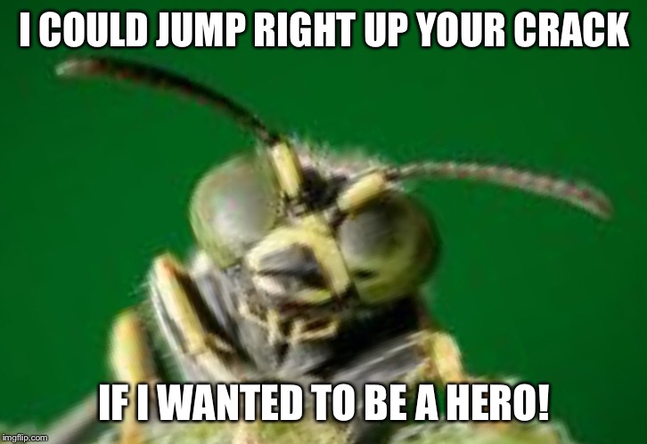 MR GREEN BUG | I COULD JUMP RIGHT UP YOUR CRACK IF I WANTED TO BE A HERO! | image tagged in mr green bug | made w/ Imgflip meme maker