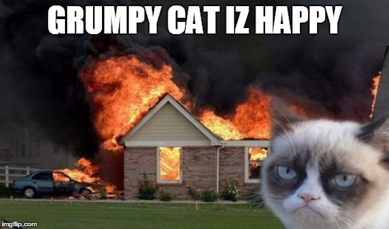 respect the cat otherwise this will happen | GRUMPY CAT IZ HAPPY | image tagged in grumpy cat,funny memes | made w/ Imgflip meme maker