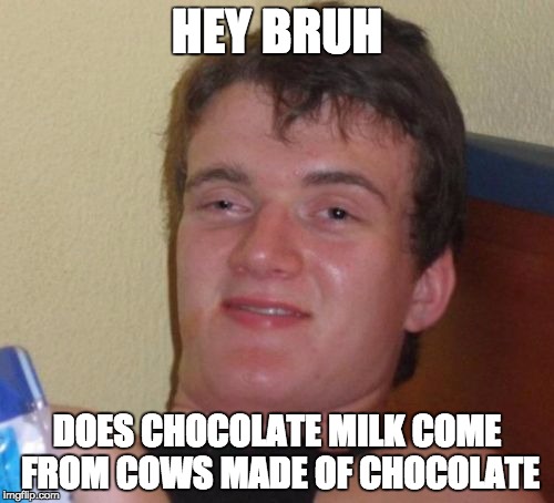 10 Guy Meme | HEY BRUH; DOES CHOCOLATE MILK COME FROM COWS MADE OF CHOCOLATE | image tagged in memes,10 guy | made w/ Imgflip meme maker
