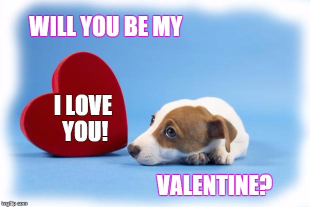 valentinesdog | WILL YOU BE MY; I LOVE YOU! VALENTINE? | image tagged in valentinesdog | made w/ Imgflip meme maker
