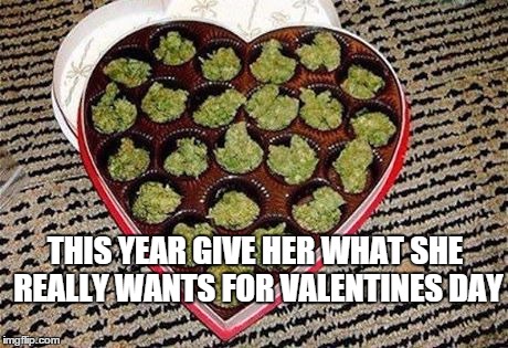 What she really wants for Valentines day | THIS YEAR GIVE HER WHAT SHE REALLY WANTS FOR VALENTINES DAY | image tagged in what she really wants for valentines day | made w/ Imgflip meme maker
