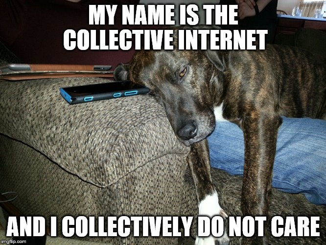 Doesn't Care Dog | MY NAME IS THE COLLECTIVE INTERNET; AND I COLLECTIVELY DO NOT CARE | image tagged in memes,first world problems | made w/ Imgflip meme maker