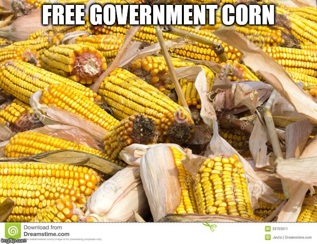FREE GOVERNMENT CORN | made w/ Imgflip meme maker