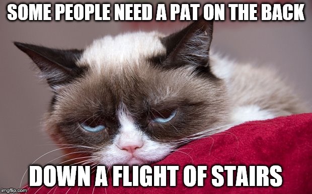 SOME PEOPLE NEED A PAT ON THE BACK; DOWN A FLIGHT OF STAIRS | image tagged in grumpy cat | made w/ Imgflip meme maker