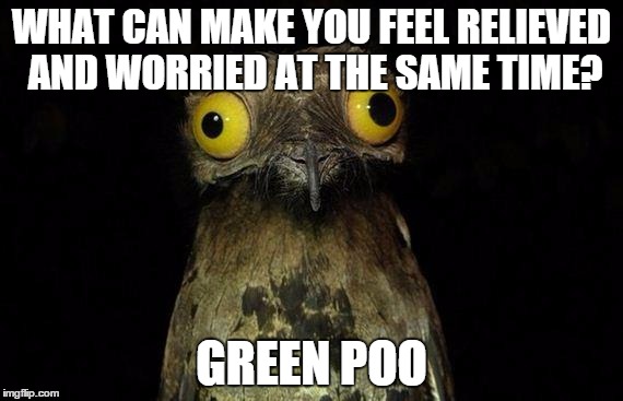 Weird Stuff I Think About | WHAT CAN MAKE YOU FEEL RELIEVED AND WORRIED AT THE SAME TIME? GREEN POO | image tagged in memes,weird stuff i do potoo | made w/ Imgflip meme maker