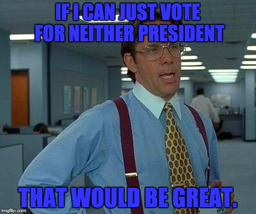 Solved the Election | IF I CAN JUST VOTE FOR NEITHER PRESIDENT; THAT WOULD BE GREAT. | image tagged in memes,that would be great | made w/ Imgflip meme maker
