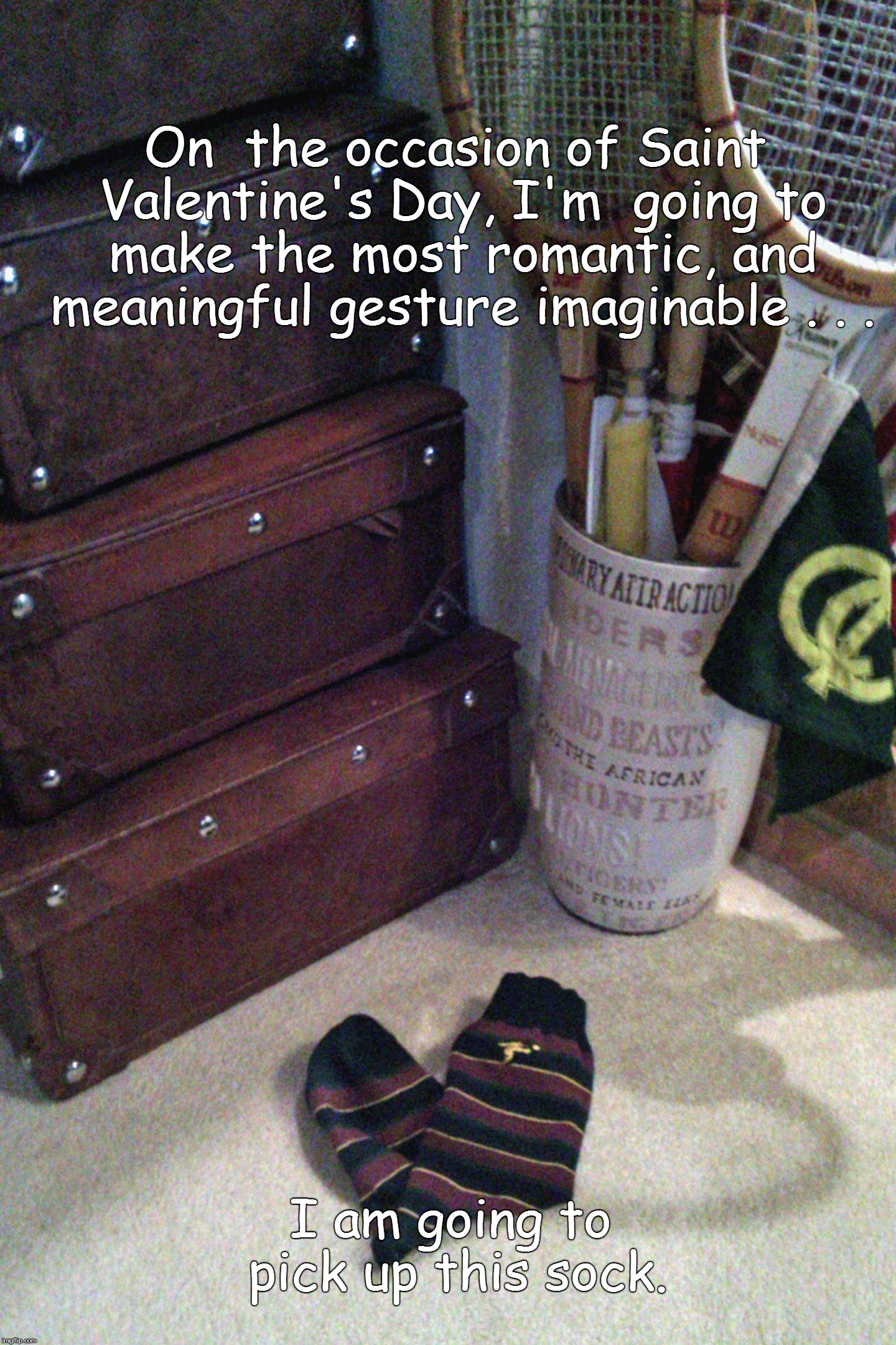 On  the occasion of Saint Valentine's Day, I'm  going to make the most romantic, and meaningful gesture imaginable . . . I am going to pick up this sock. | image tagged in aphrodisiac | made w/ Imgflip meme maker