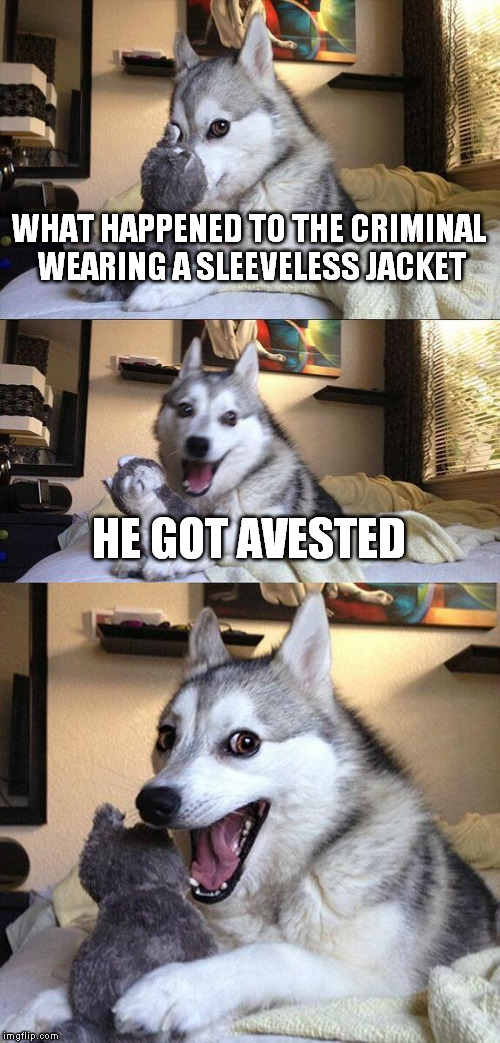 Bad Pun Dog | WHAT HAPPENED TO THE CRIMINAL WEARING A SLEEVELESS JACKET; HE GOT AVESTED | image tagged in memes,bad pun dog | made w/ Imgflip meme maker
