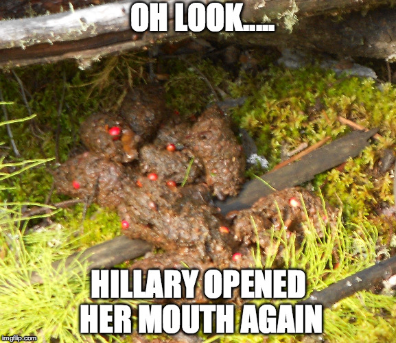 Oh look... | OH LOOK..... HILLARY OPENED HER MOUTH AGAIN | image tagged in hillary,clinton | made w/ Imgflip meme maker