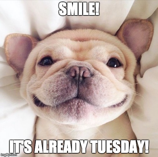 Happy Tuesday | SMILE! IT'S ALREADY TUESDAY! | image tagged in happy | made w/ Imgflip meme maker