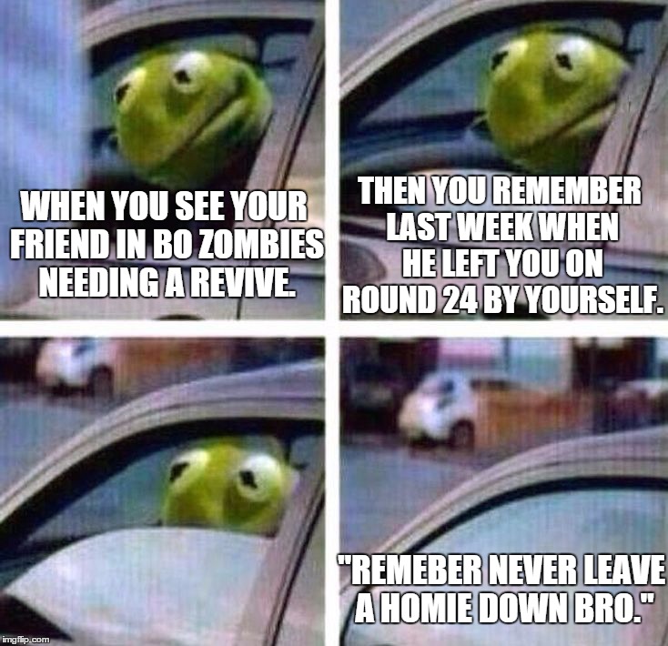 kermits Black Ops Memories | THEN YOU REMEMBER LAST WEEK WHEN HE LEFT YOU ON ROUND 24 BY YOURSELF. WHEN YOU SEE YOUR FRIEND IN BO ZOMBIES NEEDING A REVIVE. "REMEBER NEVER LEAVE A HOMIE DOWN BRO." | image tagged in kermit meme,memes,video games,call of duty,kermit the frog,but thats none of my business | made w/ Imgflip meme maker