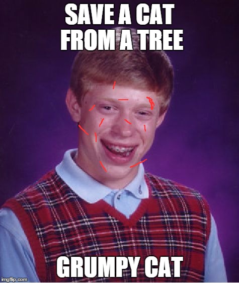 Bad Luck Brian Meme | SAVE A CAT FROM A TREE; GRUMPY CAT | image tagged in memes,bad luck brian | made w/ Imgflip meme maker