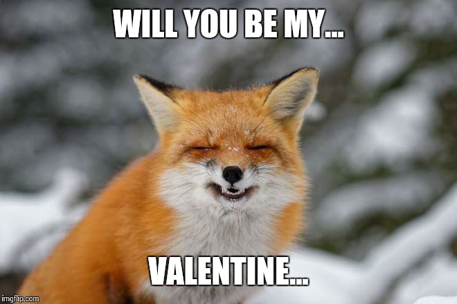 WILL YOU BE MY... VALENTINE... | image tagged in will you be my | made w/ Imgflip meme maker