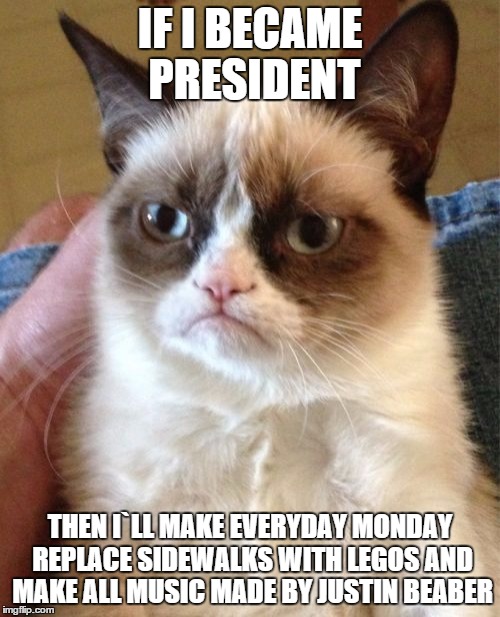 Grumpy Cat | IF I BECAME PRESIDENT; THEN I`LL MAKE EVERYDAY MONDAY REPLACE SIDEWALKS WITH LEGOS AND MAKE ALL MUSIC MADE BY JUSTIN BEABER | image tagged in memes,grumpy cat | made w/ Imgflip meme maker