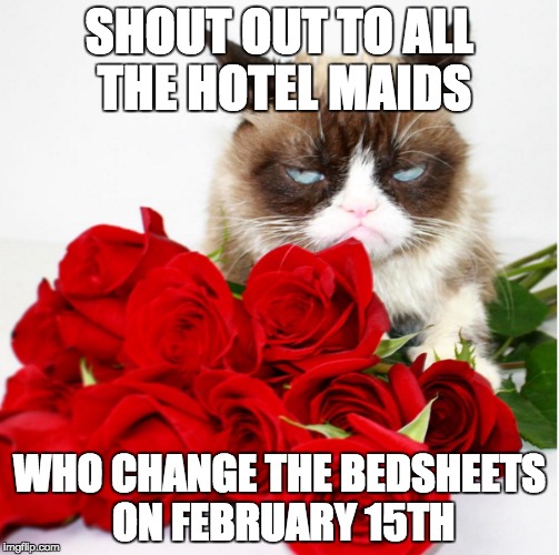 I hope this isn't a repost | SHOUT OUT TO ALL THE HOTEL MAIDS; WHO CHANGE THE BEDSHEETS ON FEBRUARY 15TH | image tagged in grump,cat,grumpy cat,valentines,day,valentine's day | made w/ Imgflip meme maker
