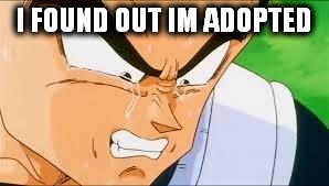 Disappointed Vegeta | I FOUND OUT IM ADOPTED | image tagged in disappointed vegeta | made w/ Imgflip meme maker