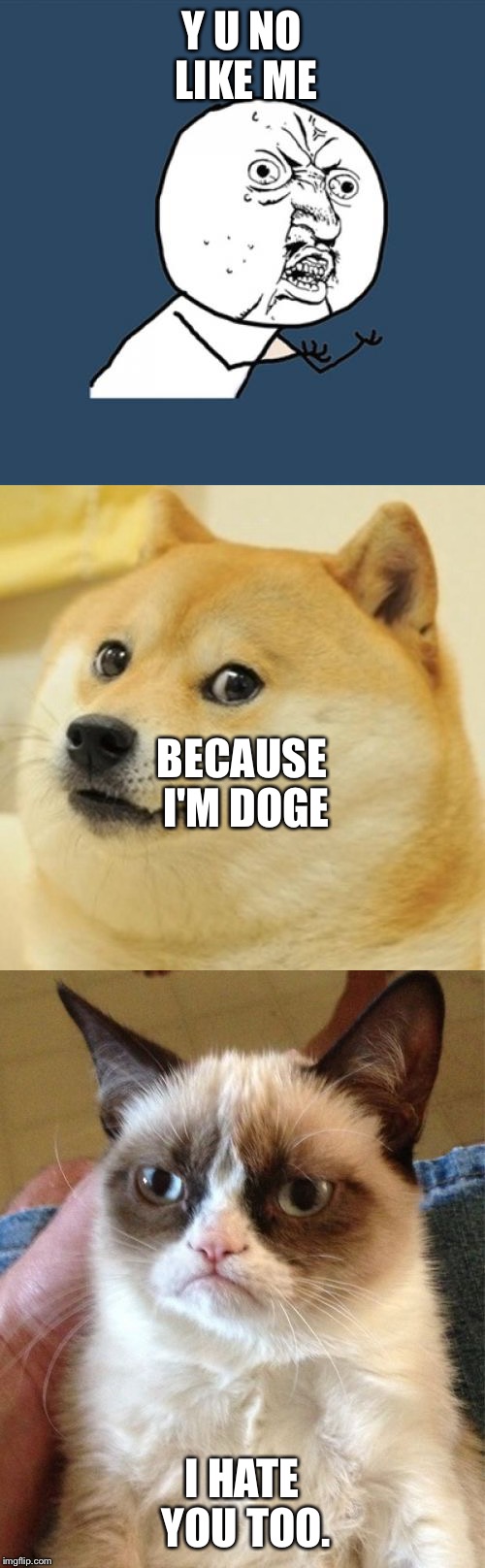 No love. | Y U NO LIKE ME; BECAUSE I'M DOGE; I HATE YOU TOO. | image tagged in grump cat meme,asian doge,funny memes,y u no | made w/ Imgflip meme maker