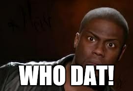 Kevin Hart Meme | WHO DAT! | image tagged in memes,kevin hart the hell | made w/ Imgflip meme maker