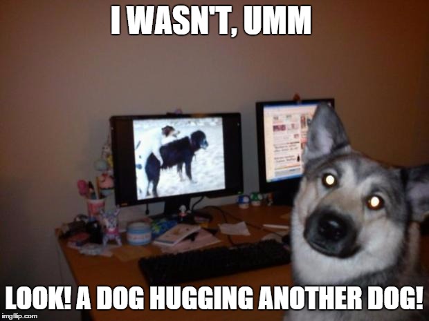 Porn Dog | I WASN'T, UMM; LOOK! A DOG HUGGING ANOTHER DOG! | image tagged in porn dog | made w/ Imgflip meme maker