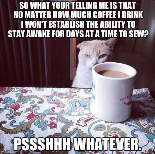 Cat Doesn't Like this Coffee | SO WHAT YOUR TELLING ME IS THAT NO MATTER HOW MUCH COFFEE I DRINK I WON'T ESTABLISH THE ABILITY TO STAY AWAKE FOR DAYS AT A TIME TO SEW? PSSSHHH WHATEVER. | made w/ Imgflip meme maker