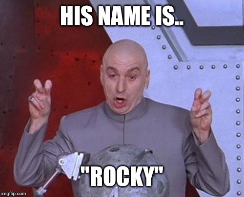 Dr Evil Laser Meme | HIS NAME IS.. "ROCKY" | image tagged in memes,dr evil laser | made w/ Imgflip meme maker
