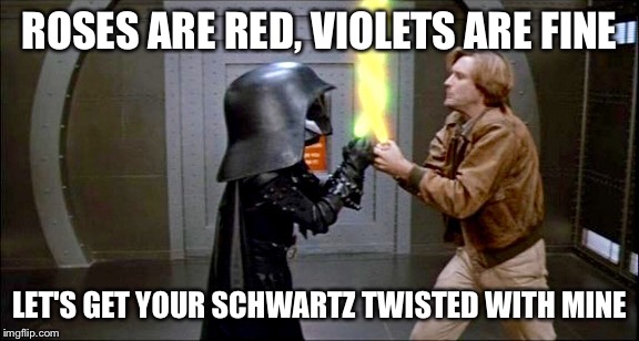 ROSES ARE RED, VIOLETS ARE FINE; LET'S GET YOUR SCHWARTZ TWISTED WITH MINE | image tagged in schwartz,Spaceballs | made w/ Imgflip meme maker