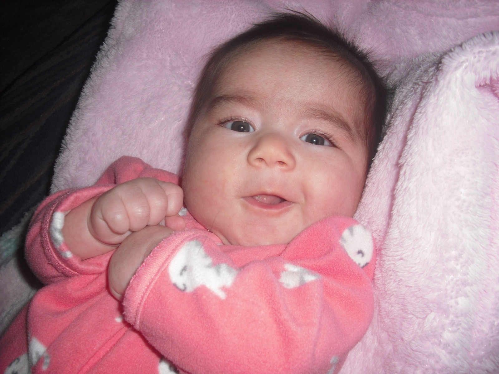 High Quality Logan Blank Meme Template