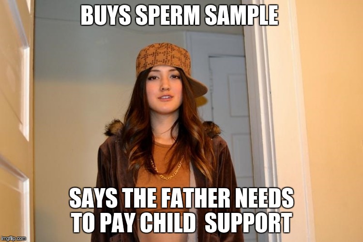 Scumbag Stephanie  | BUYS SPERM SAMPLE; SAYS THE FATHER NEEDS TO PAY CHILD  SUPPORT | image tagged in scumbag stephanie | made w/ Imgflip meme maker