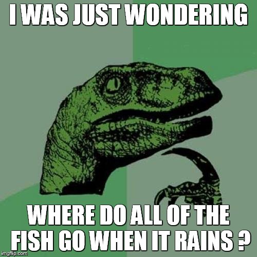 Philosoraptor | I WAS JUST WONDERING; WHERE DO ALL OF THE FISH GO WHEN IT RAINS ? | image tagged in memes,philosoraptor | made w/ Imgflip meme maker