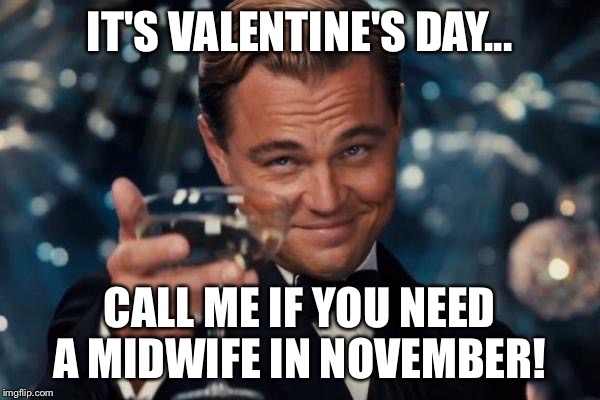 Leonardo Dicaprio Cheers Meme | IT'S VALENTINE'S DAY... CALL ME IF YOU NEED A MIDWIFE IN NOVEMBER! | image tagged in memes,leonardo dicaprio cheers | made w/ Imgflip meme maker