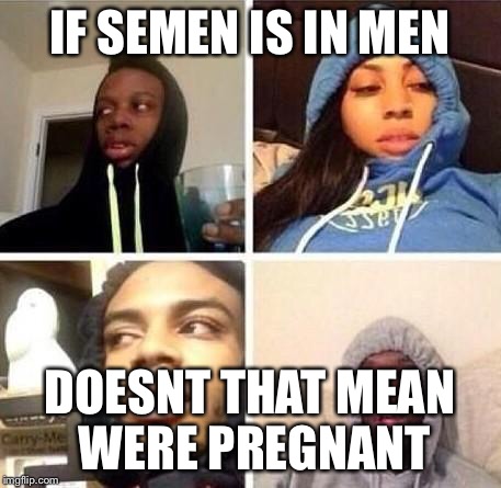 *Hits blunt | IF SEMEN IS IN MEN; DOESNT THAT MEAN WERE PREGNANT | image tagged in hits blunt | made w/ Imgflip meme maker