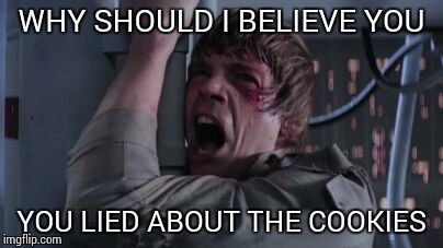 luke | WHY SHOULD I BELIEVE YOU YOU LIED ABOUT THE COOKIES | image tagged in luke | made w/ Imgflip meme maker