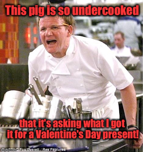 Chef Gordon Ramsay | This pig is so undercooked; that it's asking what I got it for a Valentine's Day present! | image tagged in memes,chef gordon ramsay | made w/ Imgflip meme maker