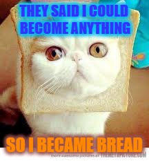 THEY SAID I COULD BECOME ANYTHING; SO I BECAME BREAD | image tagged in bread | made w/ Imgflip meme maker