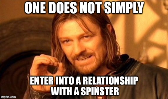 One Does Not Simply Meme | ONE DOES NOT SIMPLY ENTER INTO A RELATIONSHIP WITH A SPINSTER | image tagged in memes,one does not simply | made w/ Imgflip meme maker